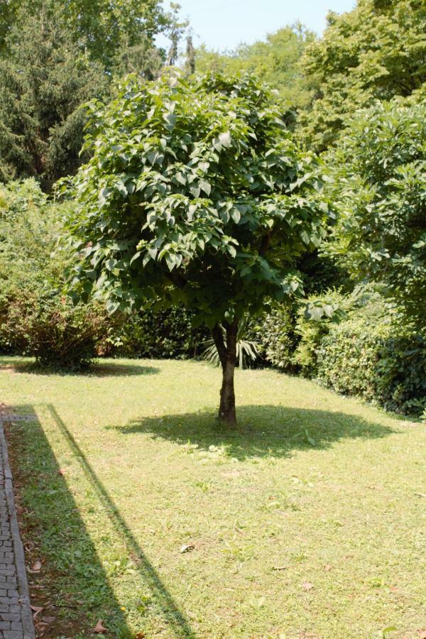 Appartamento Le Magnolie Mestre Dış mekan fotoğraf